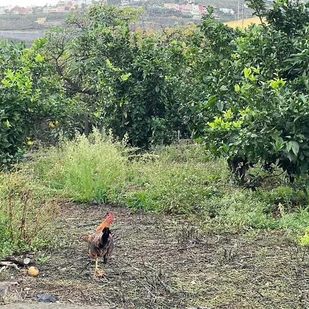 Bollullo Sunset - Apamate *